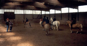 Reiten in der Halle